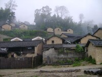 五棵樹村[雲南省德宏州梁河縣遮島鎮水箐行政村]