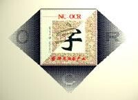 曙光NC-OCR漢字識別系統