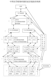 高等植物科屬檢索表