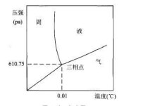 蛋白質復性