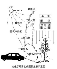 光化學效應