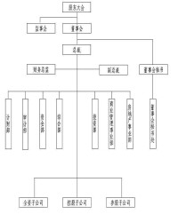 海南正和實業集團股份有限公司