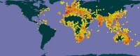 小白鷺世界分布圖