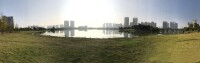 城市中央公園