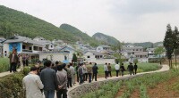 馬家屯村[貴州省畢節市織金縣馬場鎮馬家屯村]