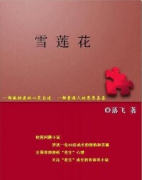 《雪蓮花》小說（此圖片僅供參考）