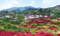 四明山[湖南衡陽、邵陽、永州交界處的四明山]