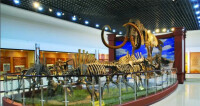 青岡縣古生物化石博物館