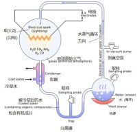 原始湯理論