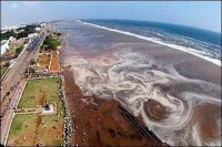 印度洋海嘯