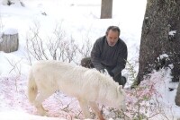 捕獵遊戲劇照