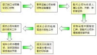 進口報關代理