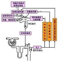 心房鈉尿肽