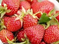 眉縣草莓