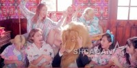 Lion heart mv