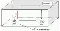 熱力環流實驗