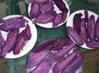 紫色地瓜