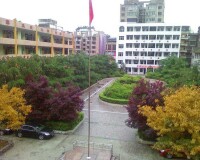 校園風景