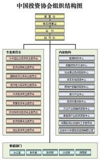 組織結構