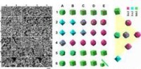 Shape-Controlled Synthesis