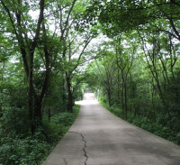 長坡嶺國家森林公園