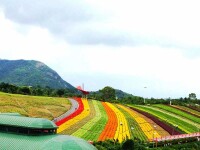 深圳東部華僑城景區