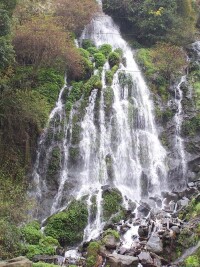 大河村[雲南省昭通市威信縣扎西鎮大河村]