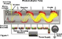 光電倍增管原理，dynode為打拿極