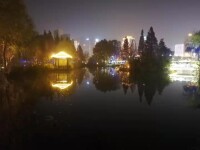 五洲湖夜景