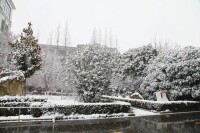 校園冬景