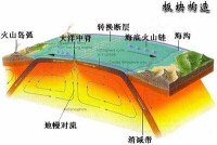 （圖）板塊構造