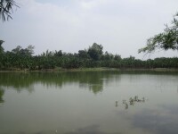 定滿坡池塘