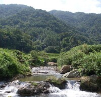 坪坑村[廣東省梅州市豐順縣北斗鎮坪坑村]