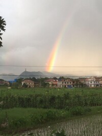 中合風景