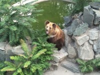 天津動物園劇照（2）