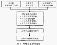 戰略生態管理過程