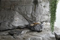 水月洞石刻