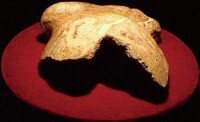北京人頭蓋骨化石-額骨發現於1966年5月