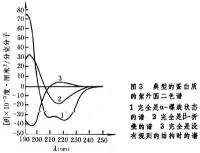 圓二色性