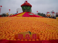 中國臍橙之鄉