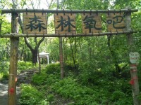 日月峽國家森林公園