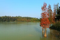 星湖濕地公園