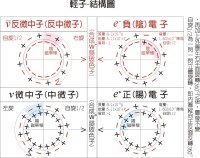 輕子-內部結構模型圖