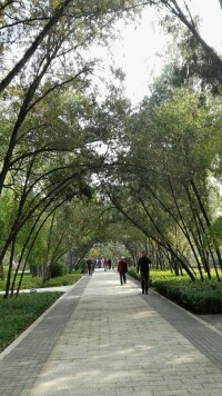 迎澤公園風景(圖五)