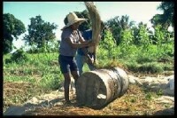 國際農業發展基金在海地