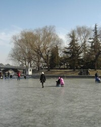 冬季園中滑冰