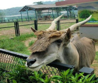 無錫動物園