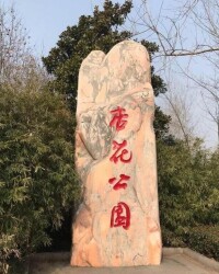 杏花公園