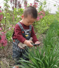 生態校園