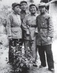 長徵到達陝北的四位女紅軍合影，左起：陳琮英、蔡暢、夏明、劉英